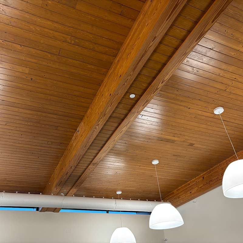 ceiling and white lights